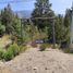  Grundstück zu verkaufen in Cushamen, Chubut, Cushamen