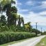  Land for sale in Linares, Nuevo Leon, Linares