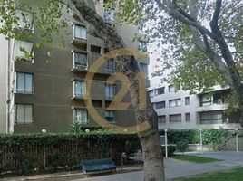 1 Bedroom Condo for rent in Chile, Santiago, Santiago, Santiago, Chile