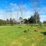  Land for sale in Llanquihue, Los Lagos, Puerto Varas, Llanquihue
