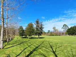  Land for sale in Llanquihue, Los Lagos, Puerto Varas, Llanquihue