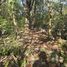  Land for sale in Valladolid, Yucatan, Valladolid