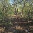  Land for sale in Valladolid, Yucatan, Valladolid