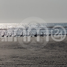  Land for sale in Mexicali, Baja California, Mexicali