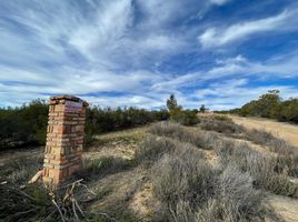  Grundstück zu verkaufen in Tecate, Baja California, Tecate