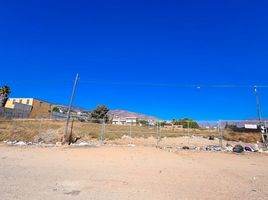  Land for rent in Tijuana, Baja California, Tijuana, Baja California