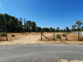  Terreno (Parcela) en venta en Maule, Curico, Curicó, Maule