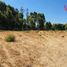  Terreno (Parcela) en venta en Maule, Curico, Curicó, Maule