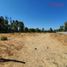 Terreno (Parcela) en venta en Maule, Curico, Curicó, Maule