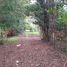  Land for sale in Cautin Araucania, Nueva Imperial, Cautin, Araucania, Chile