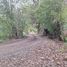 Land for sale in Cautin Araucania, Nueva Imperial, Cautin, Araucania, Chile