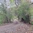  Land for sale in Cautin Araucania, Nueva Imperial, Cautin, Araucania, Chile