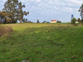  Land for sale in Cautin Araucania, Nueva Imperial, Cautin, Araucania, Chile