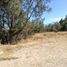 Land for sale in Panotla, Tlaxcala, Panotla, Tlaxcala