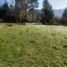  Land for sale in Chile, Pucon, Cautin, Araucania, Chile