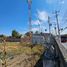  Land for rent in Zapopan, Jalisco, Zapopan
