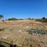  Land for rent in Zapopan, Jalisco, Zapopan