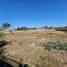  Land for rent in Zapopan, Jalisco, Zapopan