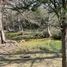  Land for sale in Montemorelos, Nuevo Leon, Montemorelos