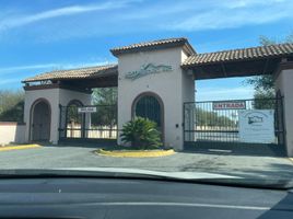  Land for sale in Montemorelos, Nuevo Leon, Montemorelos