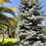 4 Bedroom House for sale in Chile, Santiago, Santiago, Santiago, Chile