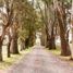 Land for sale in Campana, Buenos Aires, Campana