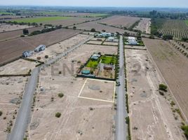  Terreno (Parcela) en venta en El Carmen, Chincha, El Carmen