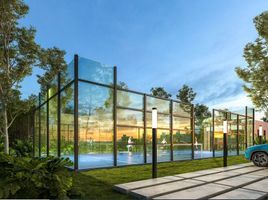  Terreno (Parcela) en venta en Yaxkukul, Yucatán, Yaxkukul, Yucatán