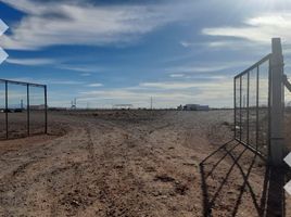  Terreno (Parcela) en alquiler en Argentina, Anelo, Neuquen, Argentina