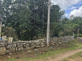  Land for sale in Valladolid, Yucatan, Valladolid