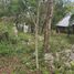  Land for sale in Valladolid, Yucatan, Valladolid