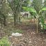 Land for sale in Valladolid, Yucatan, Valladolid
