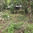  Land for sale in Valladolid, Yucatan, Valladolid