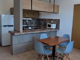 2 Bedroom Condo for rent in Merida, Yucatan, Merida, Yucatan