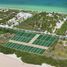  Land for sale in Dzemul, Yucatan, Dzemul