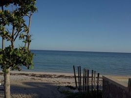  Grundstück zu verkaufen in Chicxulub Pueblo, Yucatan, Chicxulub Pueblo