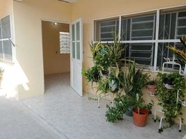 1 Habitación Departamento en alquiler en Carmen, Campeche, Carmen
