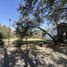  Land for sale in Zapopan, Jalisco, Zapopan, Jalisco