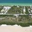  Land for sale in Dzemul, Yucatan, Dzemul