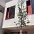 2 Habitación Apartamento en alquiler en Queretaro, Querétaro, Queretaro, Querétaro