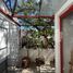 2 Habitación Apartamento en alquiler en Queretaro, Querétaro, Queretaro, Querétaro