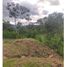  Land for sale in Sandona, Narino, Sandona
