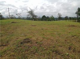  Land for sale in San Vicente, Antioquia, San Vicente