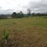  Land for sale in San Vicente, Antioquia, San Vicente