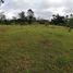  Land for sale in San Vicente, Antioquia, San Vicente