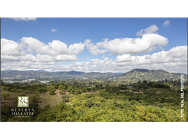  Land for sale in La Ceja, Antioquia, La Ceja