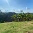6 Bedroom House for sale in Ulloa, Valle Del Cauca, Ulloa