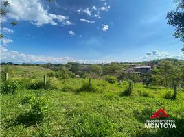  Terreno (Parcela) en venta en Ulloa, Valle Del Cauca, Ulloa