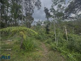  Land for sale in Retiro, Antioquia, Retiro