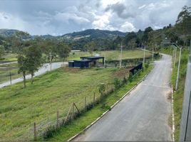  Terreno (Parcela) en venta en La Ceja, Antioquia, La Ceja